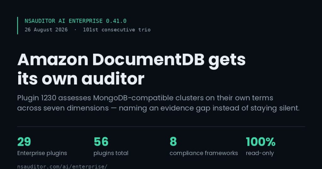 nsauditor-ai-ee-0-41-0-documentdb