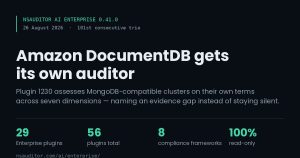 nsauditor-ai-ee-0-41-0-documentdb