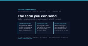 nsauditor-ai-enterprise-0-44-0-card-safe