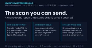 nsauditor-ai-enterprise-0-44-0-the-scan-you-can-send